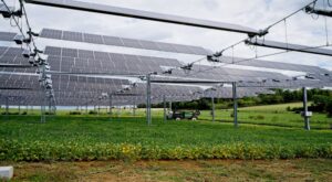 Agri Photovoltaik