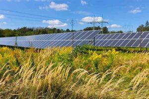 Solaranlage auf Wiese