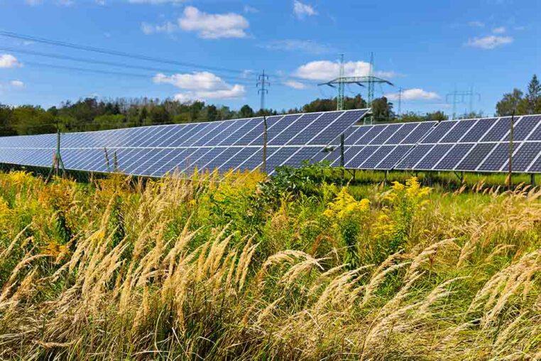 Solaranlage-auf-Wiese
